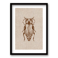 Cuadro Escarabajo en Lino