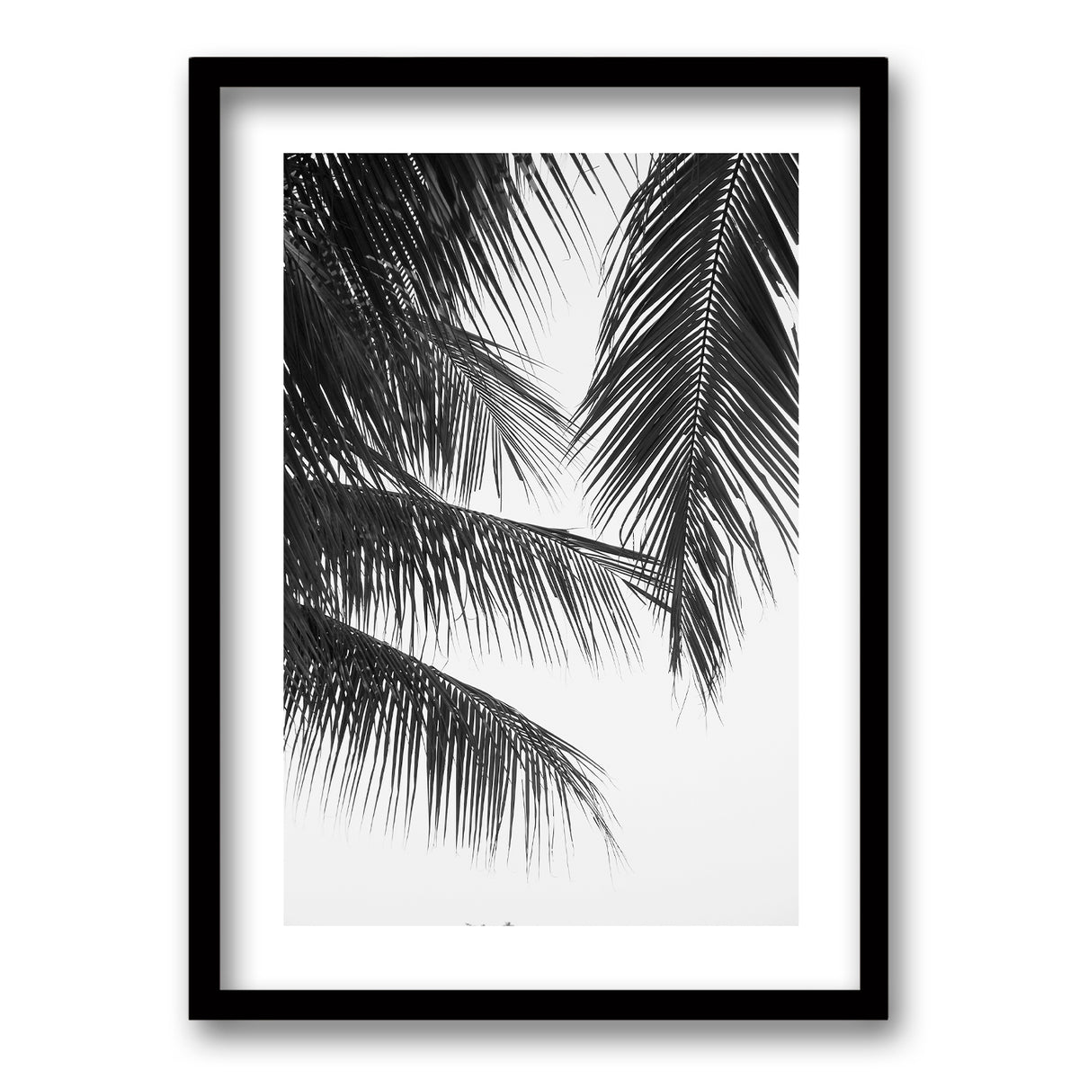 Cuadro Palmera Nocturna