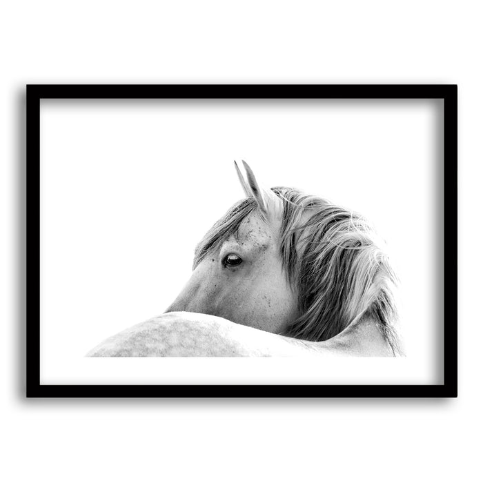 Cuadro White Horse