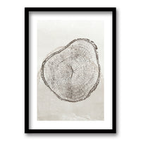 Cuadro Núcleo Arbóreo II