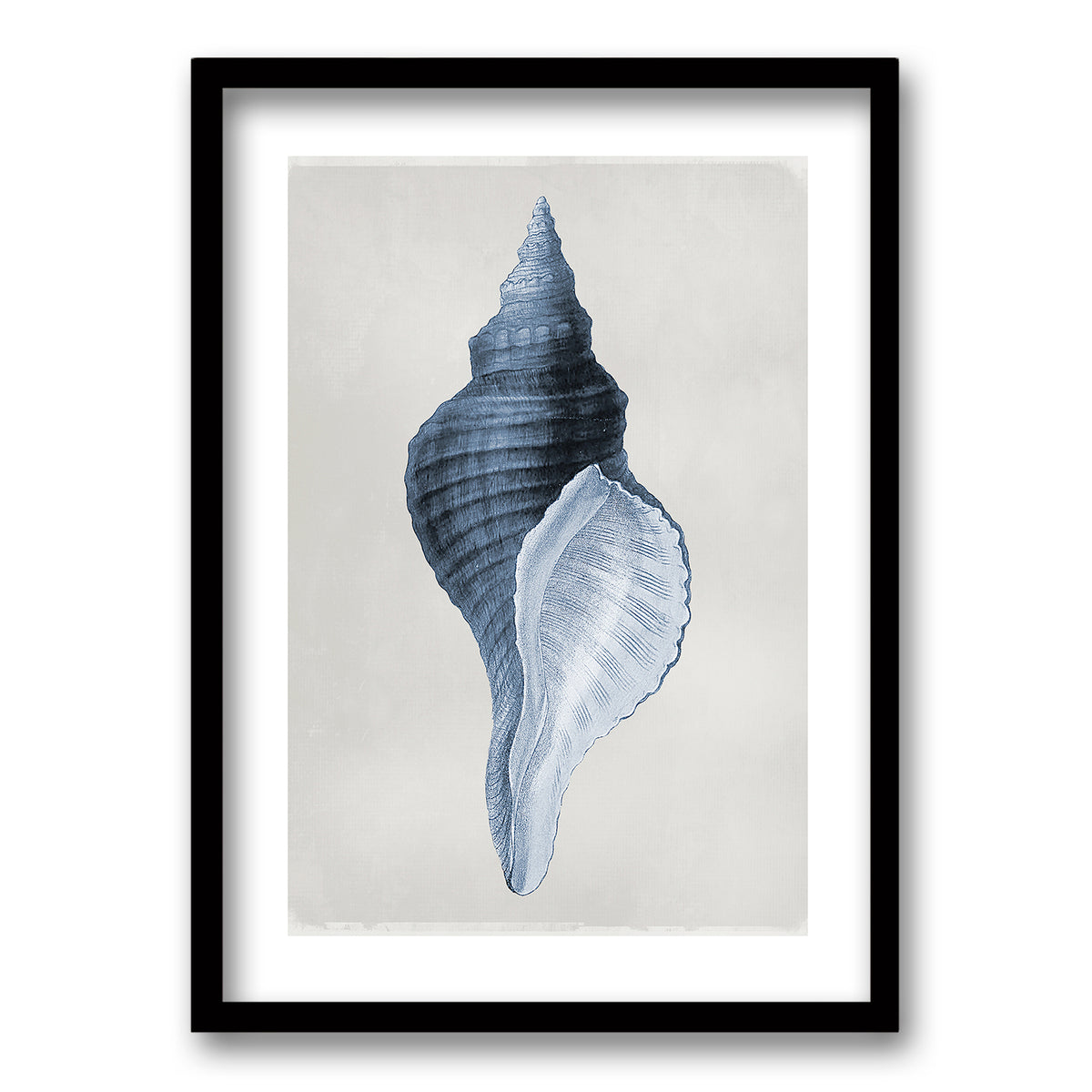 Cuadro Blue Shell
