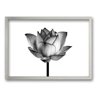 Cuadro Flor de Loto II