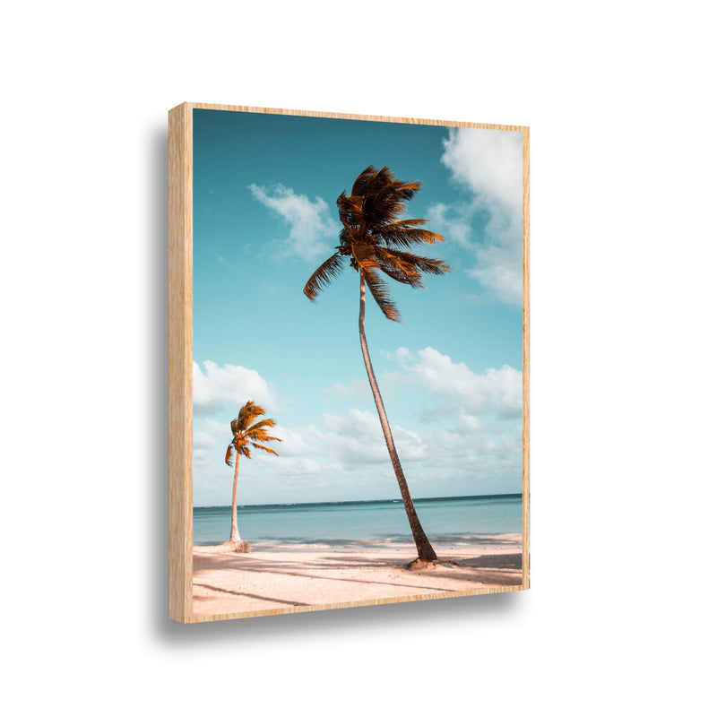 Canvas Palmera Retro