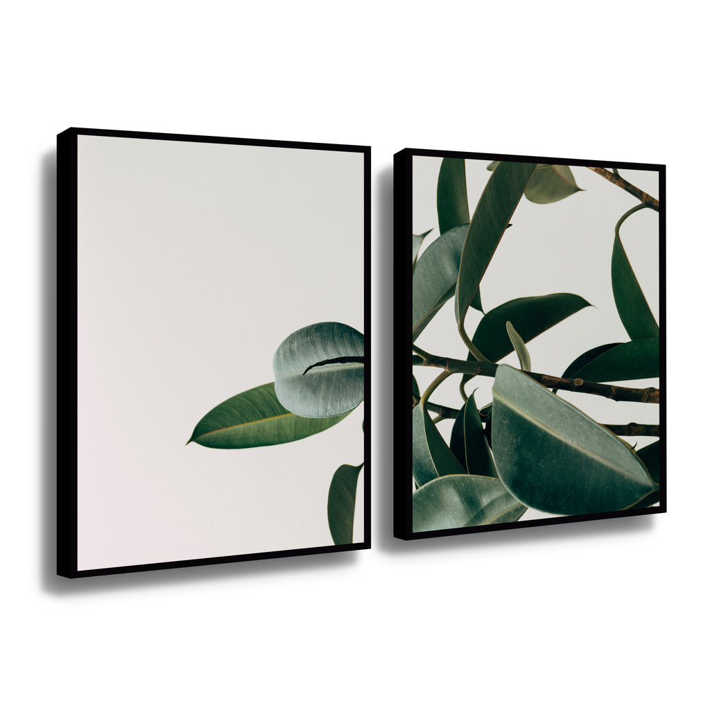 Canvas duo Planta