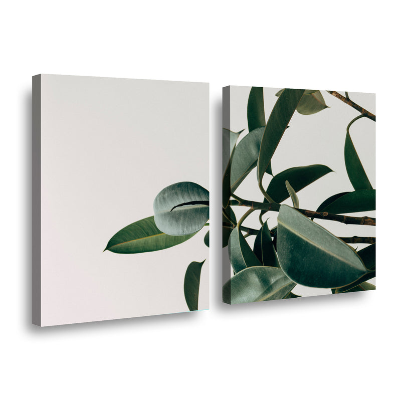 Canvas duo Planta