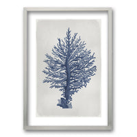 Cuadro Árbol de Coral II