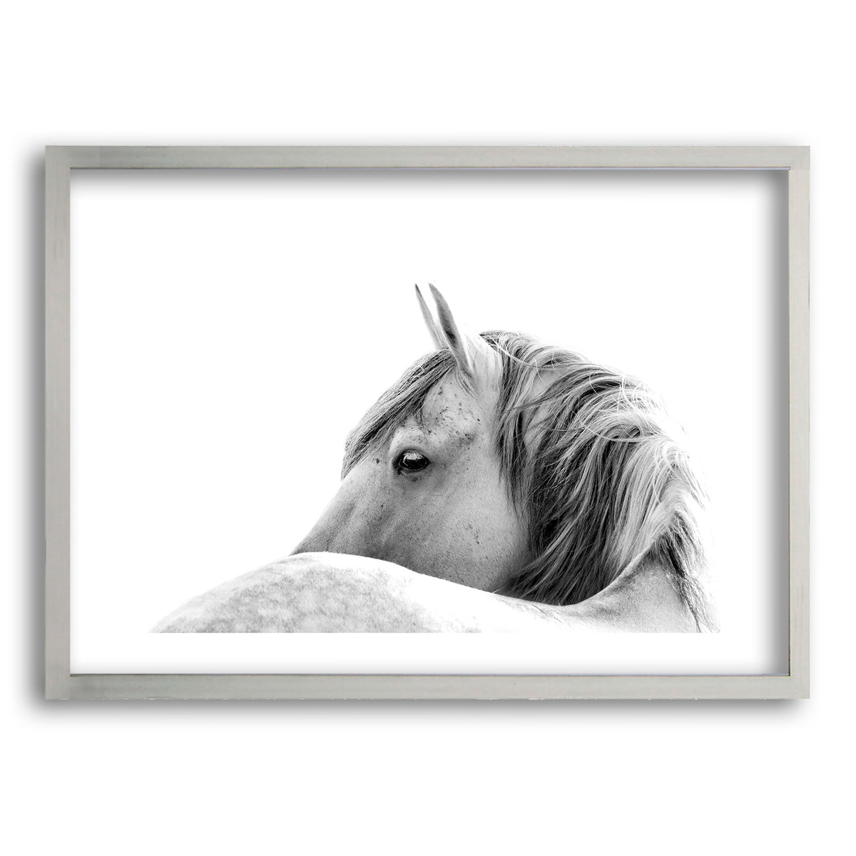 Cuadro White Horse
