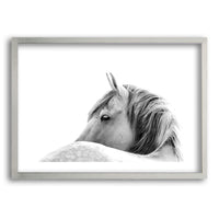 Cuadro White Horse