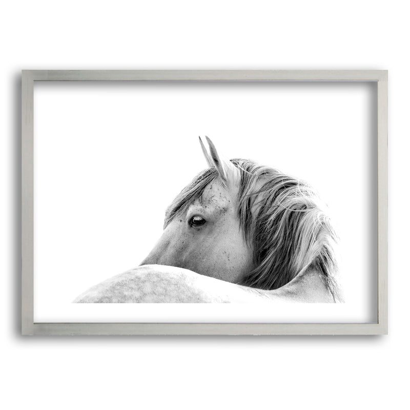 Cuadro White Horse