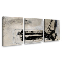 Canvas Modelo 659