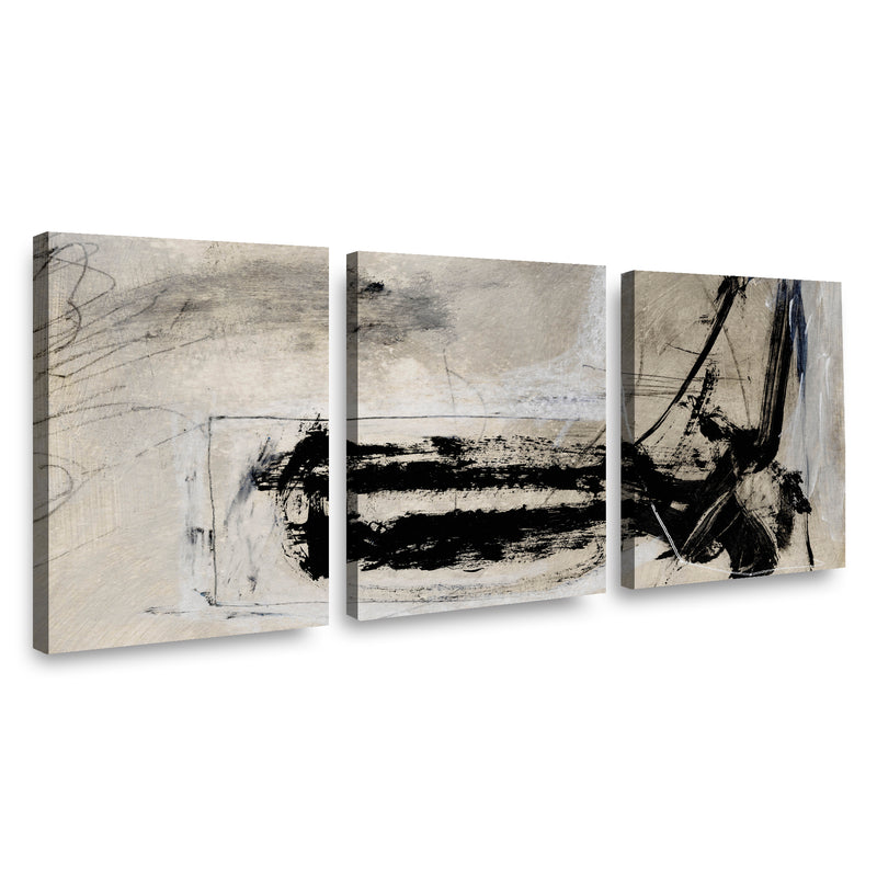 Canvas Modelo 659