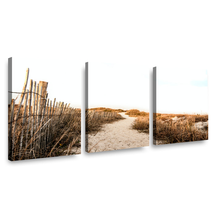 Canvas Modelo 653