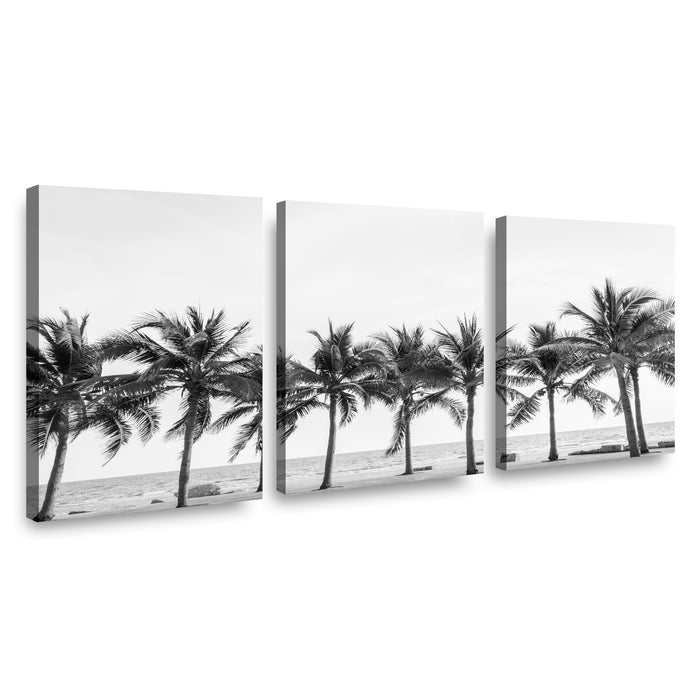 Canvas Trio Palmas