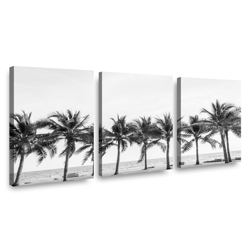 Canvas Trio Palmas