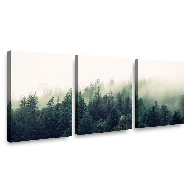 Canvas Modelo 641