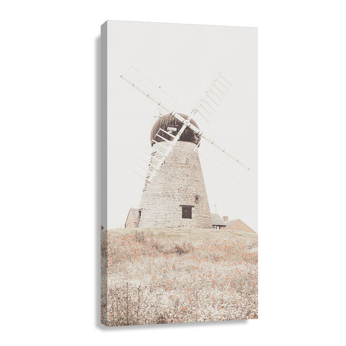 Canvas Modelo 501