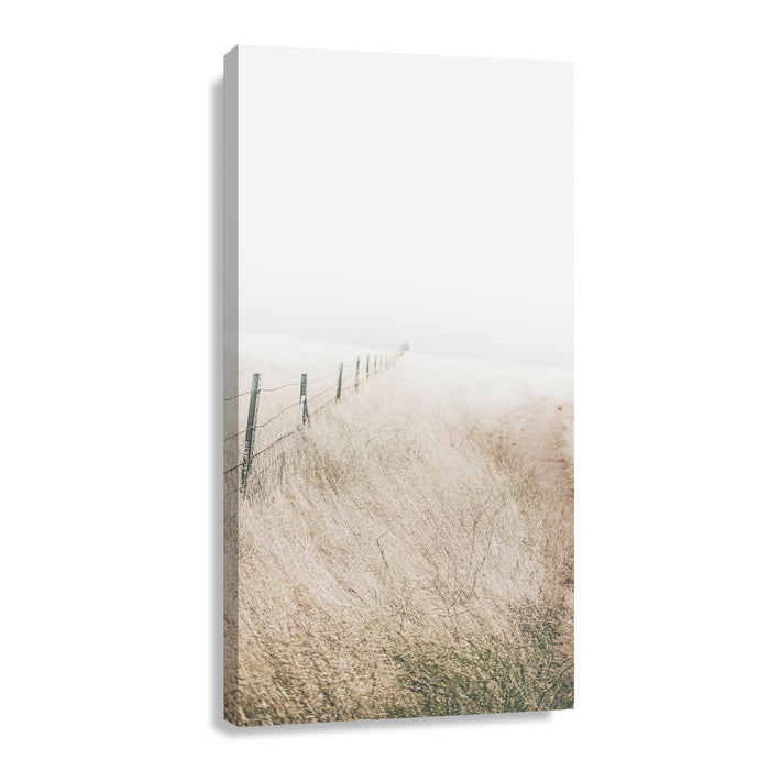 Canvas Modelo 494