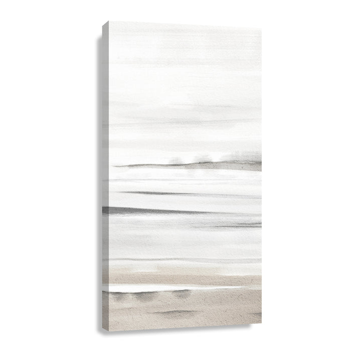 Canvas Modelo 480