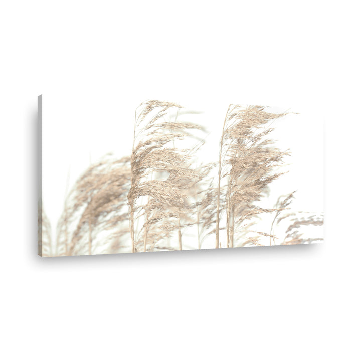 Canvas Modelo 373