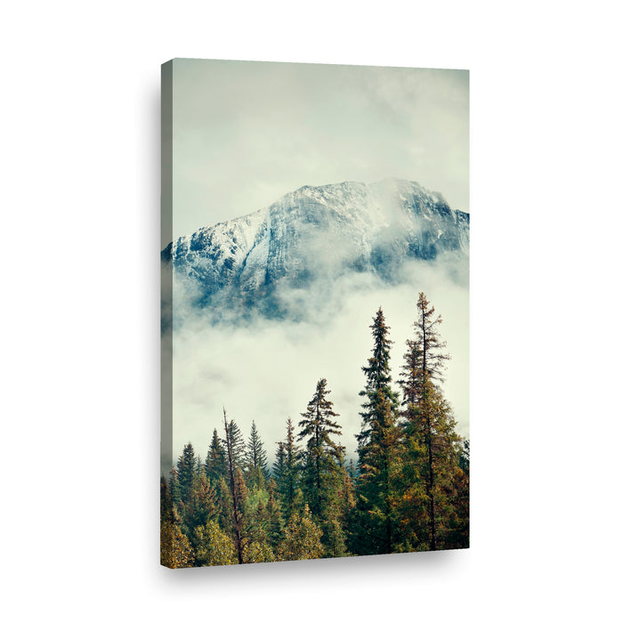 Canvas Modelo 439