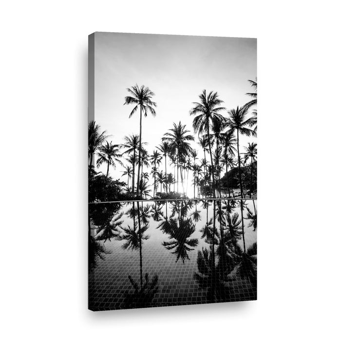 Canvas Modelo 417