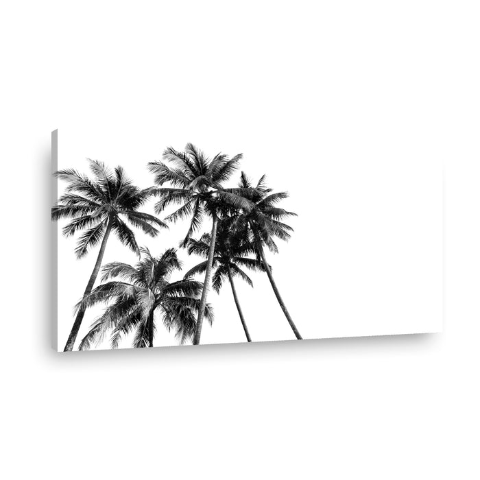 Canvas Modelo 413