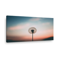 Canvas Modelo 342
