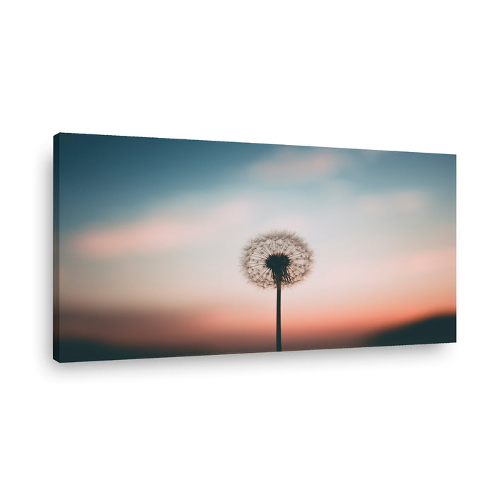 Canvas Modelo 486