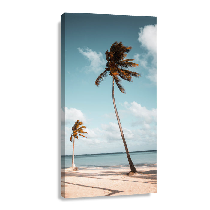 Canvas Modelo 478