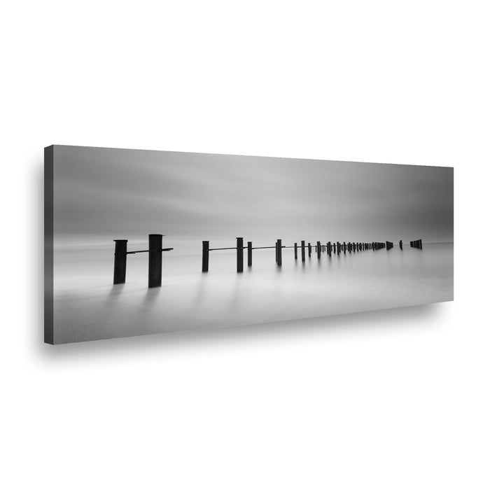 Canvas Modelo 461