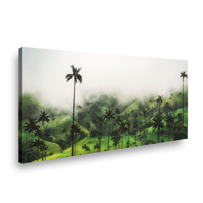 Canvas Modelo 524
