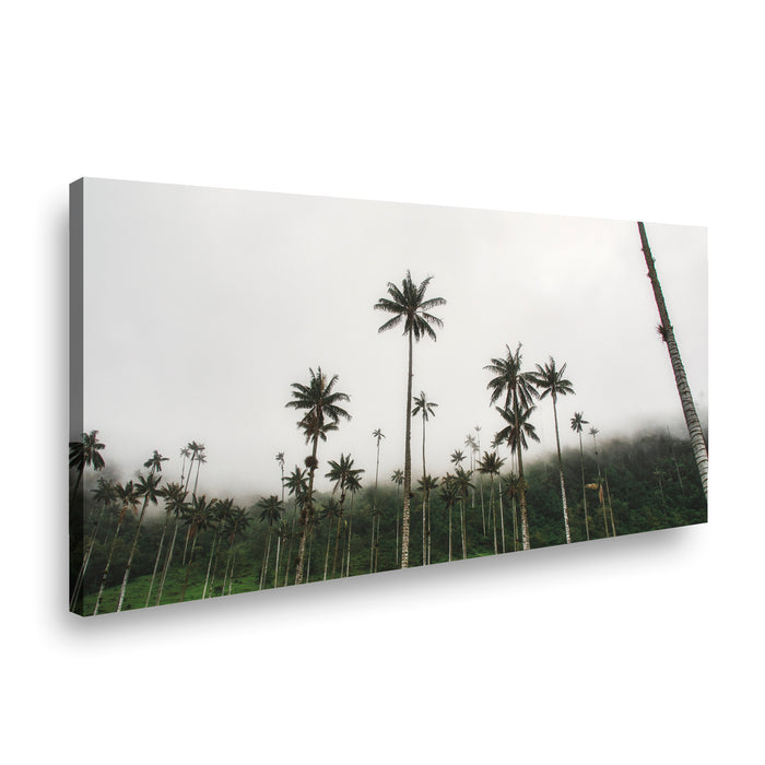 Canvas Modelo 518