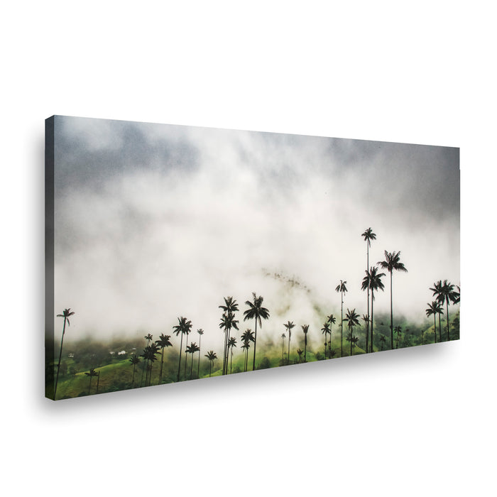Canvas Modelo 472