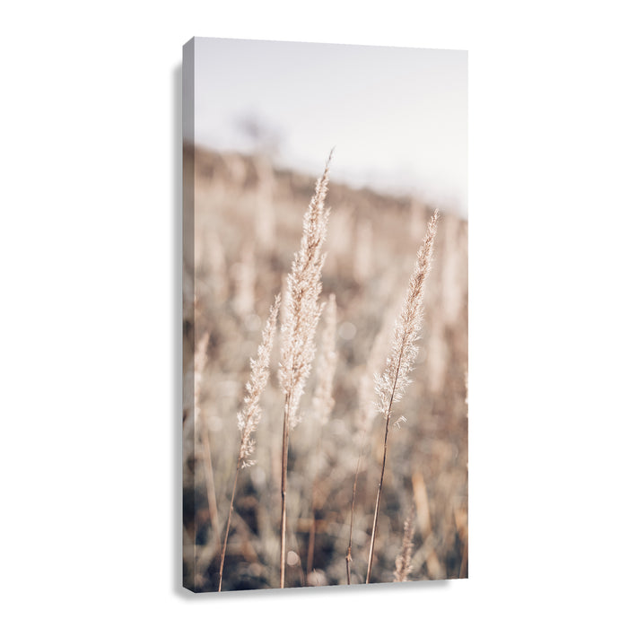 Canvas Modelo 465