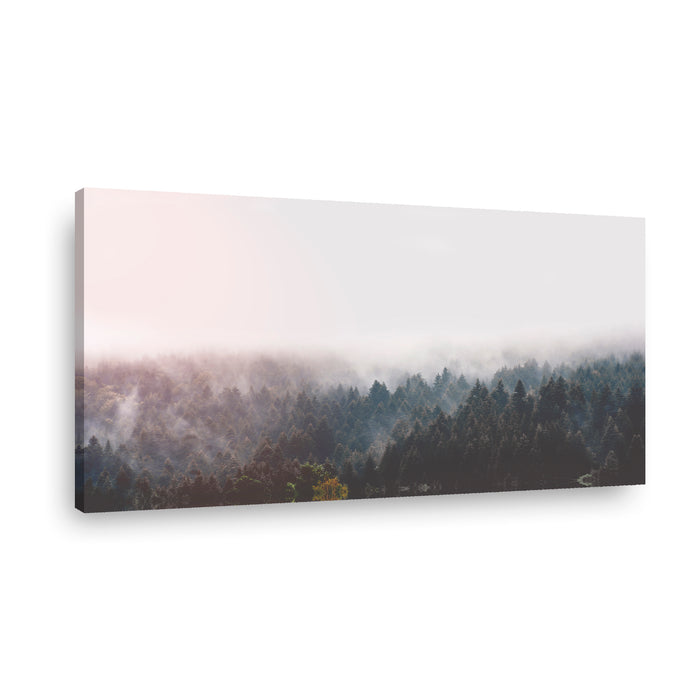 Canvas Modelo 357