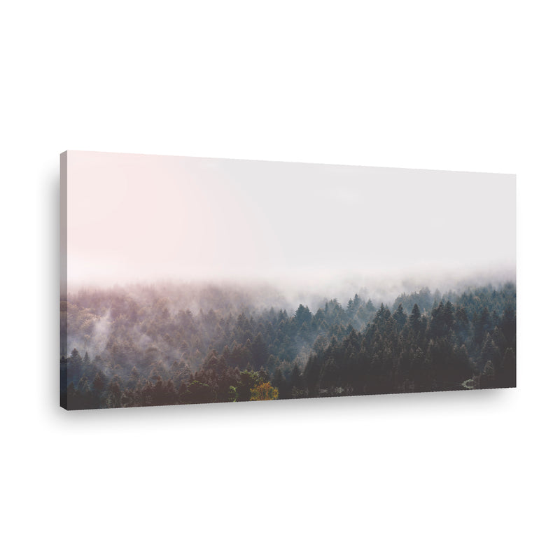 Canvas Canada