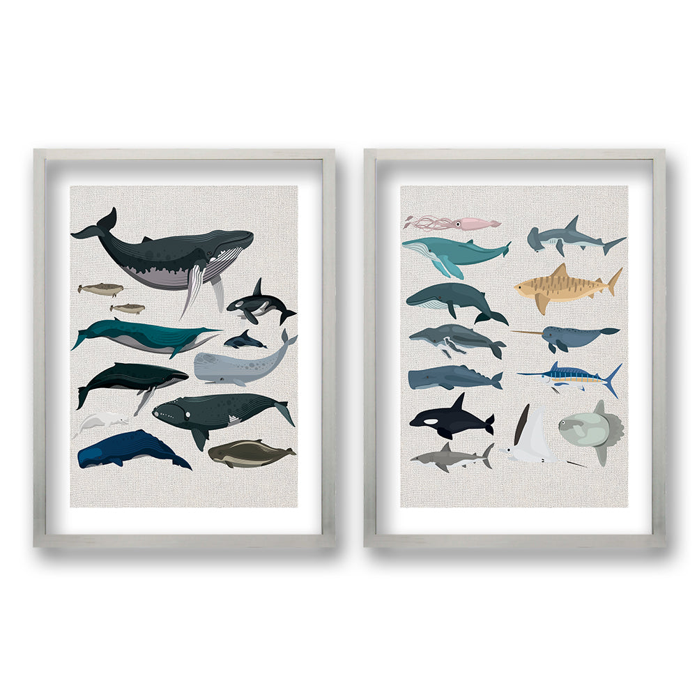 Cuadro Duo Animales Acuáticos