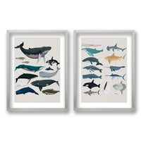 Cuadro Duo Animales Acuáticos