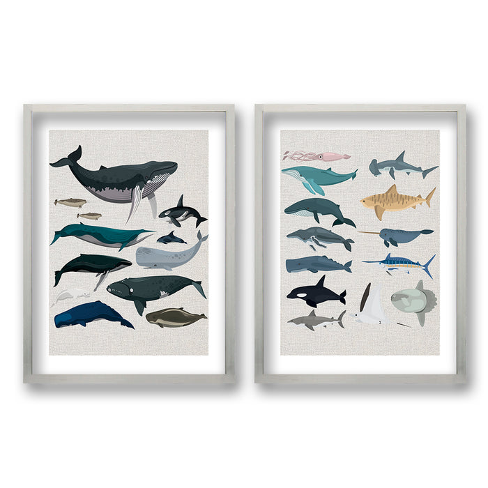 Cuadro Duo Animales Acuáticos