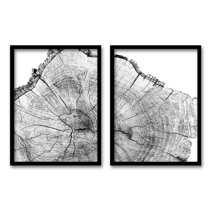 Cuadro Duo Pulso del Bosque