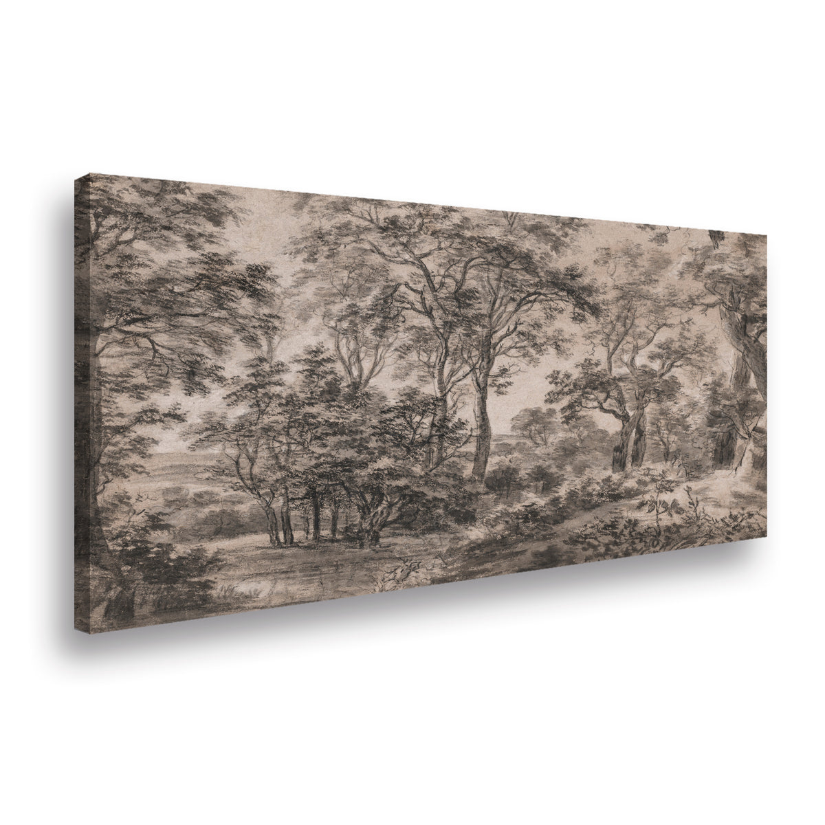 Canvas Arboles a lapiz