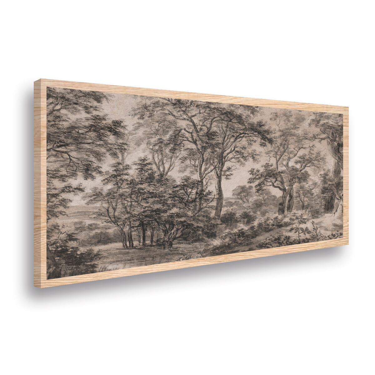 Canvas Arboles a lapiz