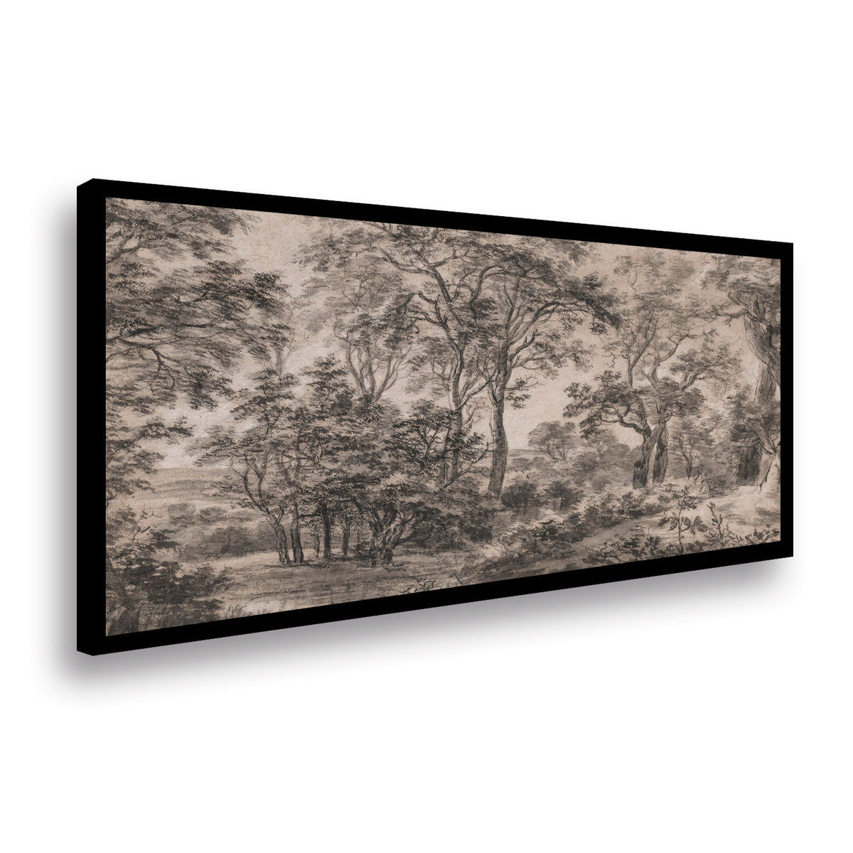 Canvas Arboles a lapiz