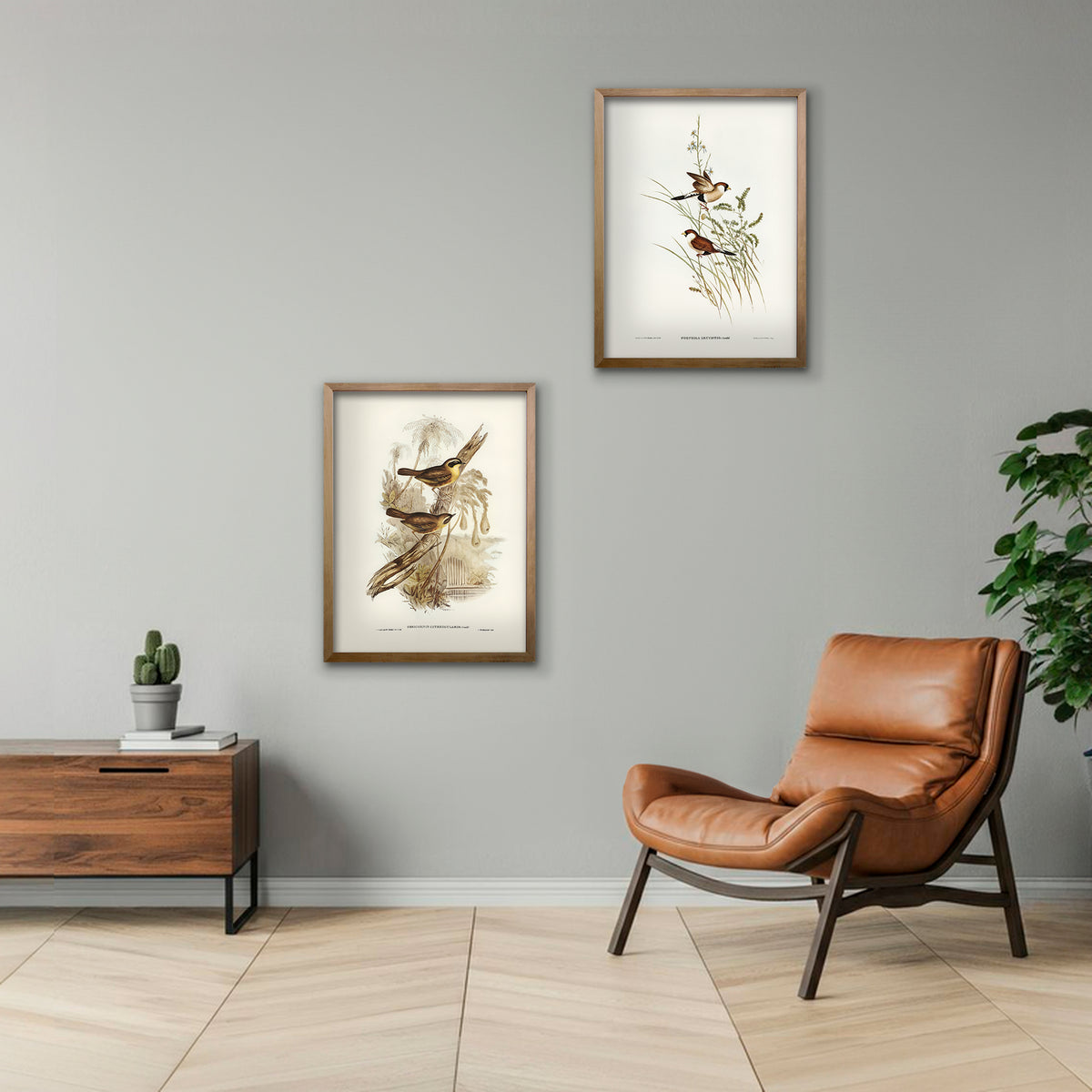 Cuadro Duo Aves Ilustrados