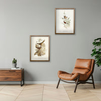 Cuadro Duo Aves Ilustrados