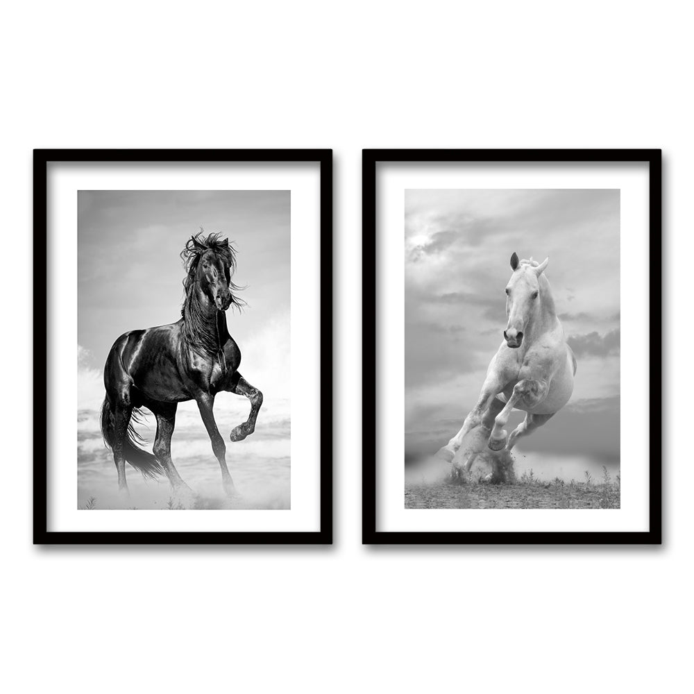 Cuadro Duo Caballos II