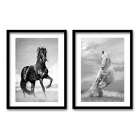 Cuadro Duo Caballos II