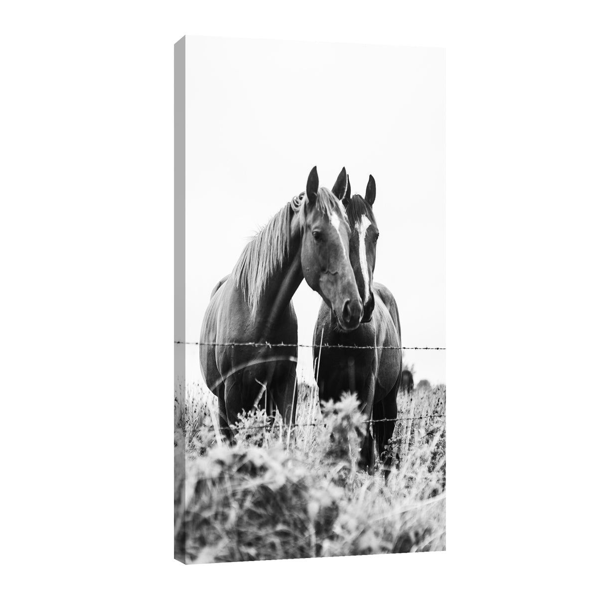 Canvas Caballos en compañía