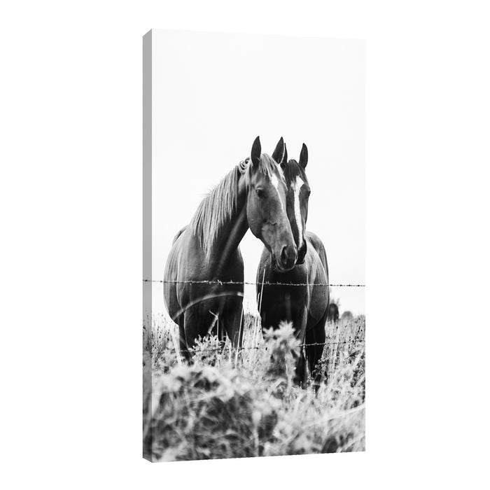 Canvas Caballos en compañía