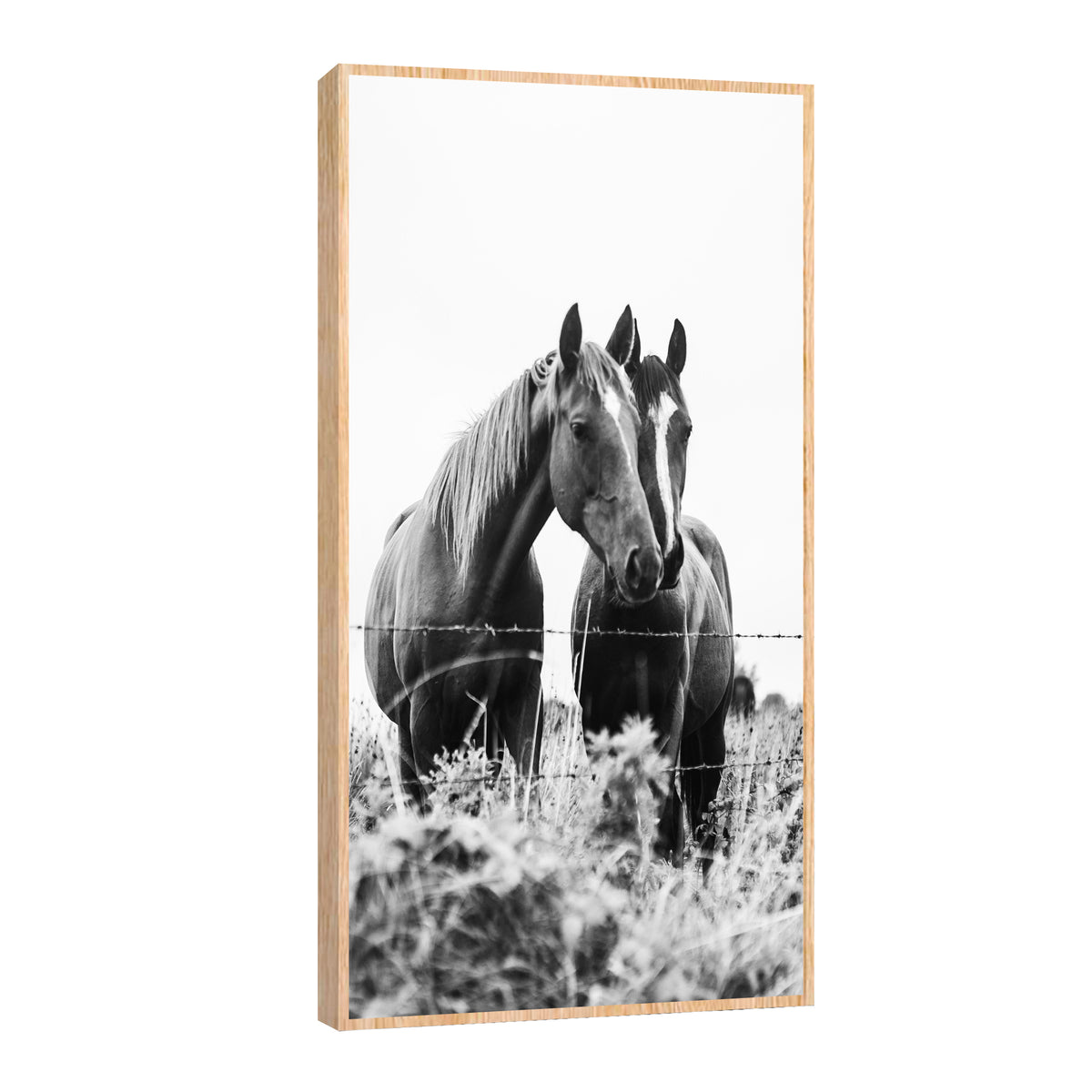Canvas Caballos en compañía
